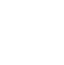 Icône